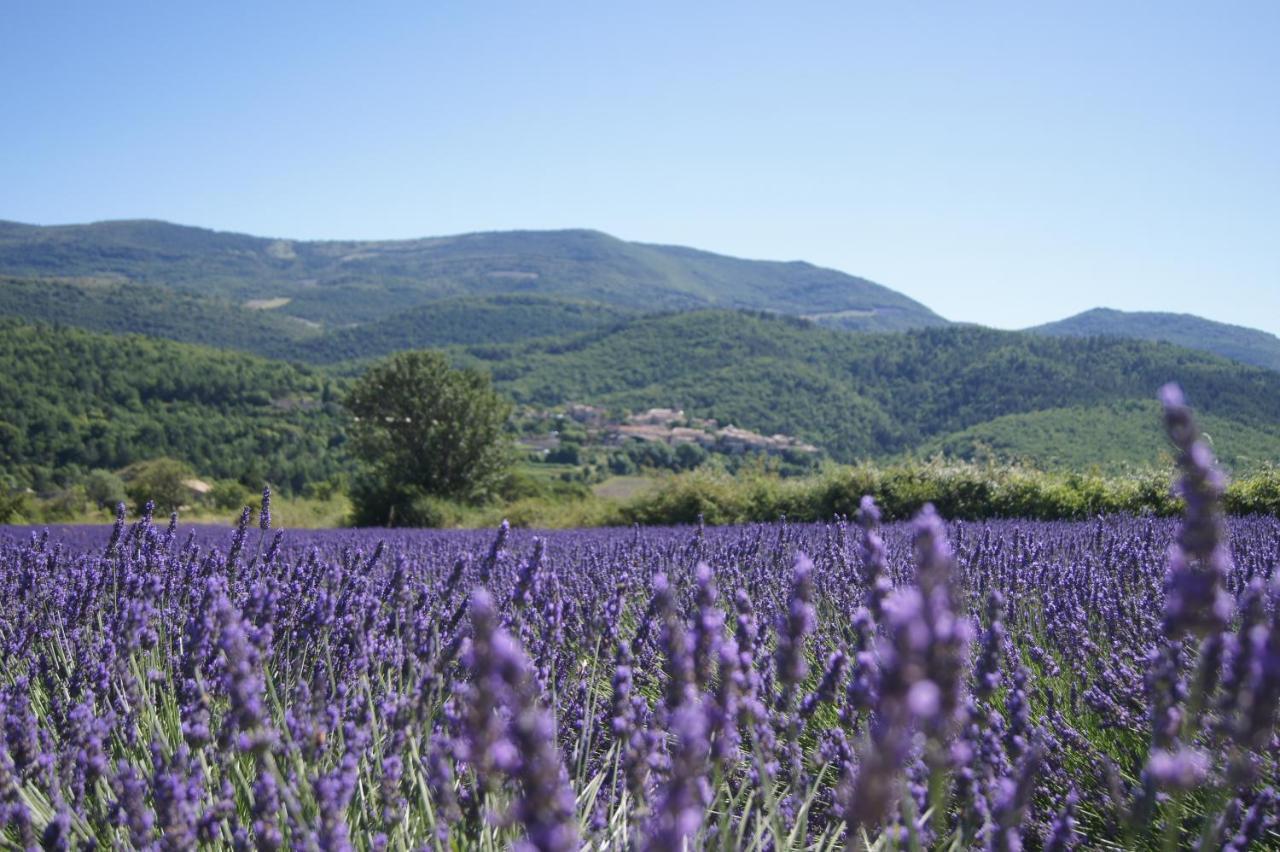 La Claveliere Hotell Saint-Auban-sur-lʼOuvèze Eksteriør bilde